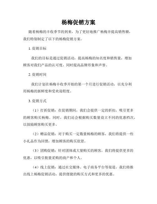 杨梅促销方案