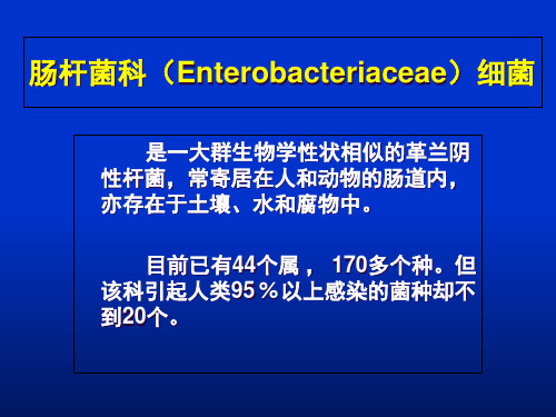 10章肠杆菌属课件