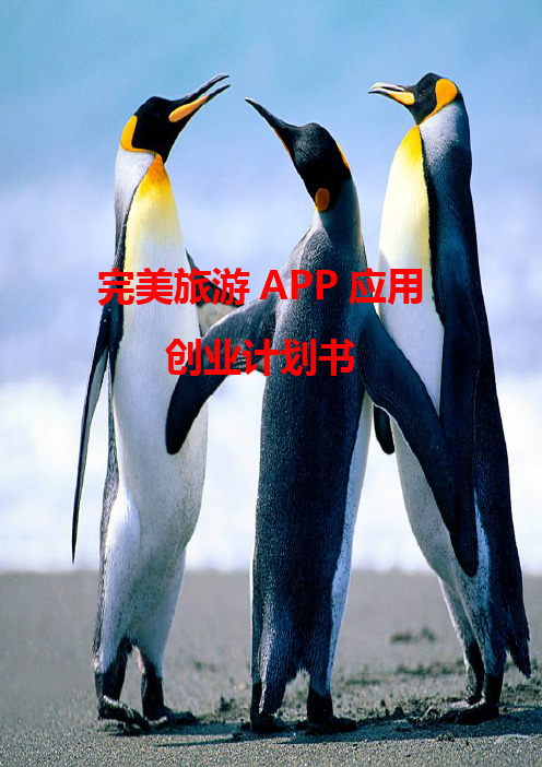 完美旅游APP