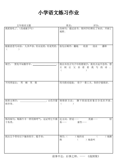 小学五年级语文精题选做III (20)