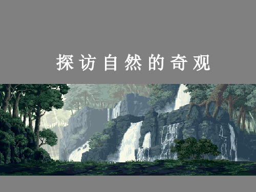 六年级美术下册课件-2探访自然的奇观19-人美版