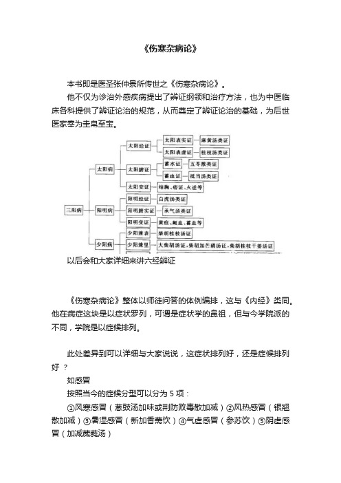 《伤寒杂病论》