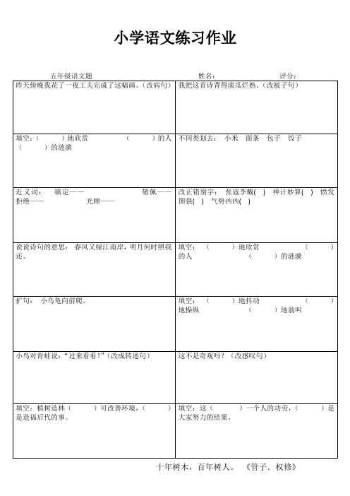 小学五年级语文精题选做III (27)