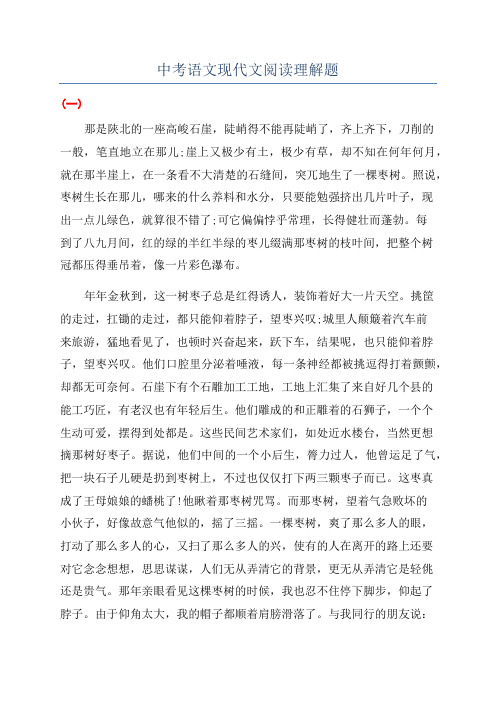 中考语文现代文阅读理解题