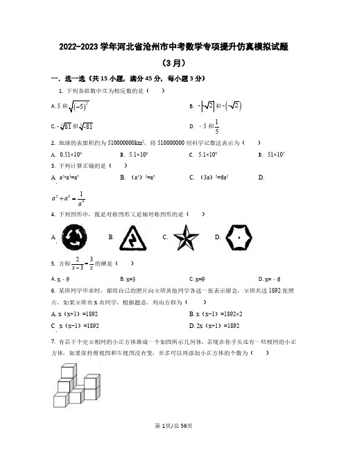 2022——2023学年河北省沧州市中考数学专项提升仿真模拟试题(3月4月)含答案