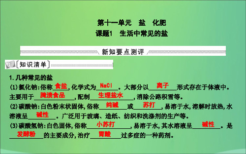 九年级化学下册第十一单元盐化肥课题1生活中常见的盐课件新人教版