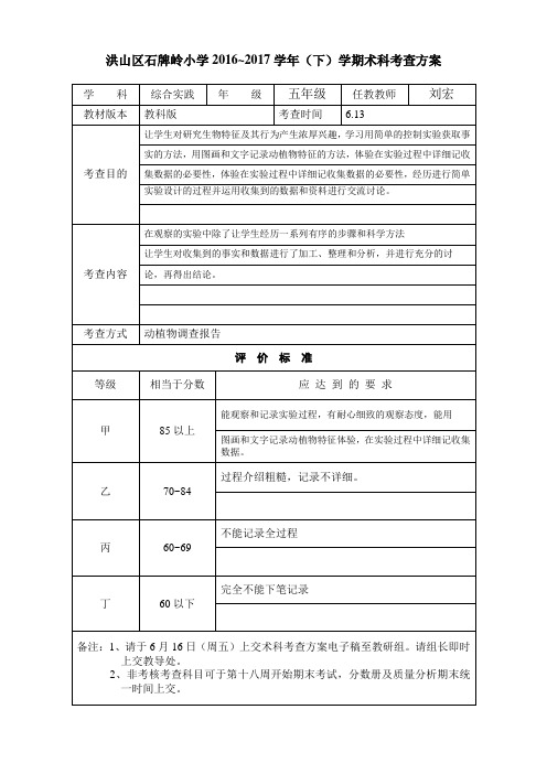 术科考查方案-五年级综合实践