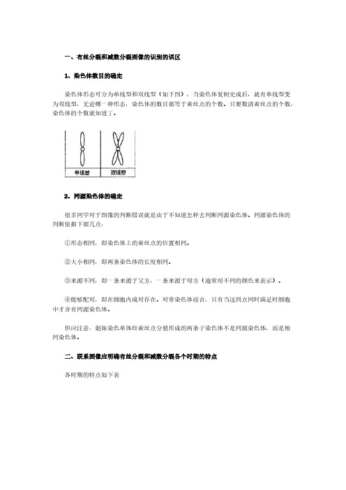 【VIP专享】有丝分裂和减数分裂图像识别及有关题型的分析归类