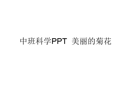 中班科学PPT  美丽的菊花