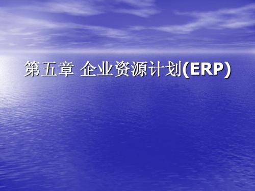 5第五章 企业资源计划(ERP)