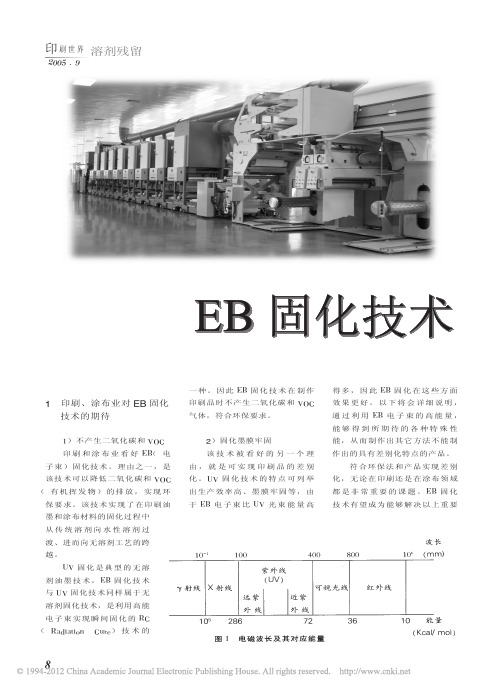 EB固化技术_杨志钢