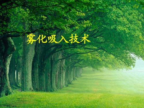 雾化吸入法