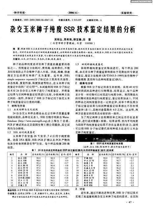 杂交玉米种子纯度SSR技术鉴定结果的分析