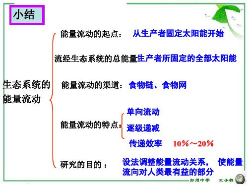 能量流动相关计算