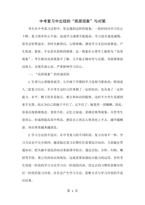 中考复习中出现的“高原现象”与对策5页word