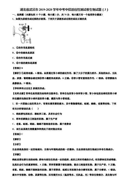 湖北省武汉市2019-2020学年中考中招适应性测试卷生物试题(3)含解析