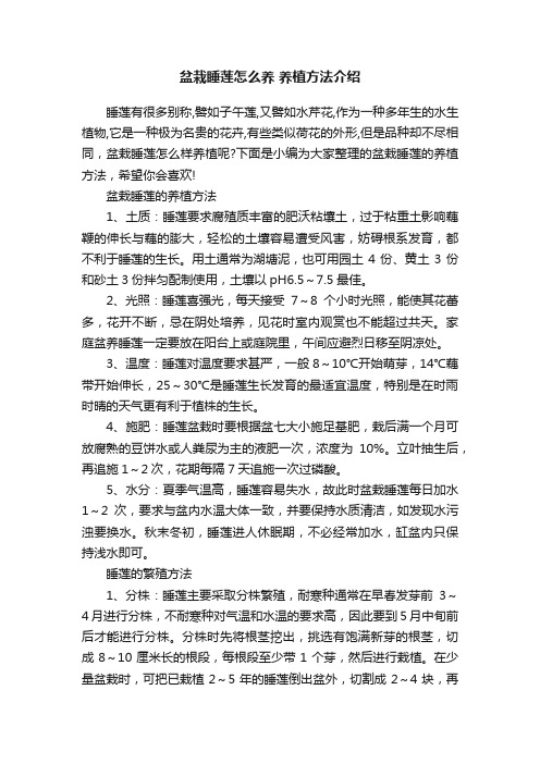 盆栽睡莲怎么养养植方法介绍