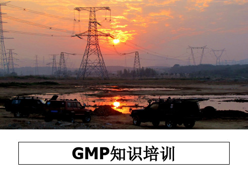 最新GMP知识培训教学讲义PPT课件