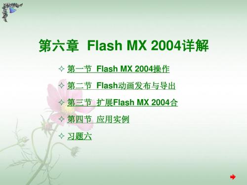 Flash MX 2004详解