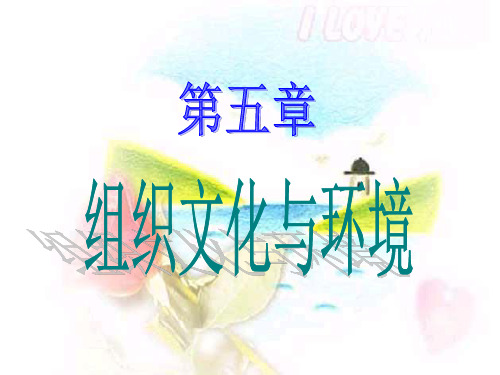 管理学5(组织文化与环境)