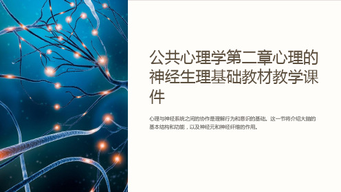 公共心理学第二章心理的神经生理基础教材教学课件