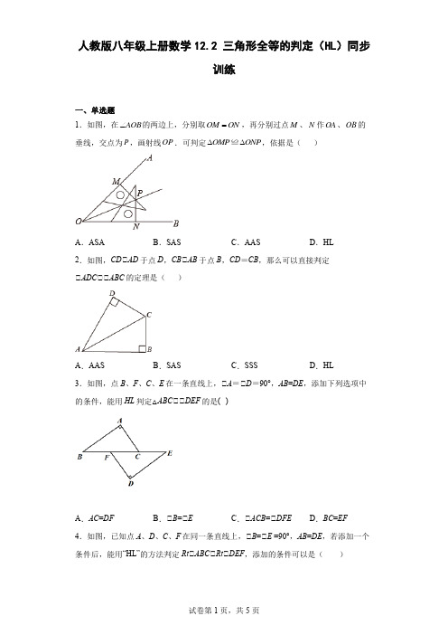 人教版八年级上册数学三角形全等的判定(HL)同步训练