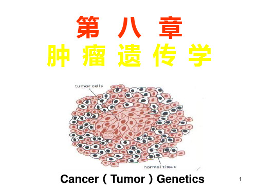 第八章 肿瘤遗传学PPT课件