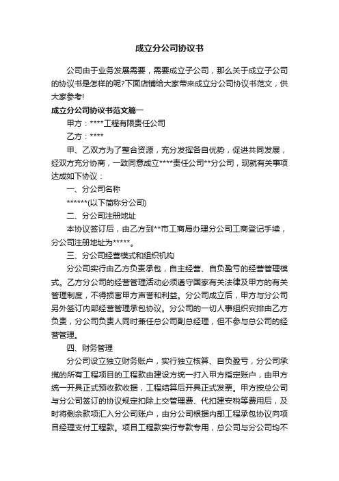 成立分公司协议书