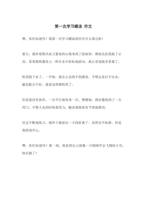 第一次学习蝶泳 作文