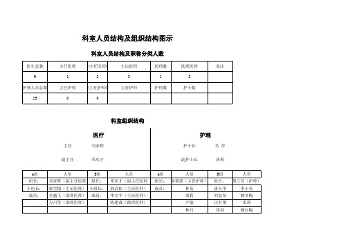 科室人员结构及组织结构图示