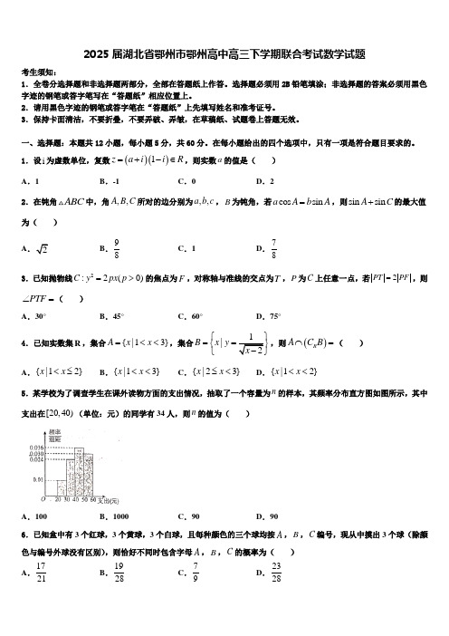 2025届湖北省鄂州市鄂州高中高三下学期联合考试数学试题含解析