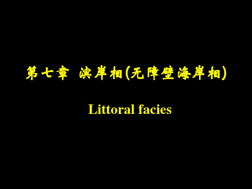 沉积岩沉积相7-2 无障壁海岸相