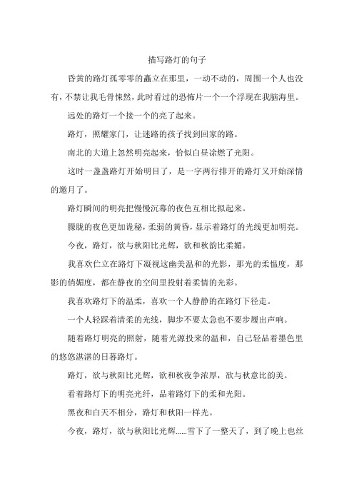 描写路灯的句子-作文