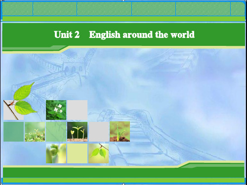  Unit 2  English  around the world-reading-课件 (63)