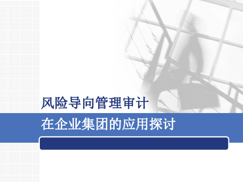 风险导向管理审计在集团企业应用探讨ppt课件