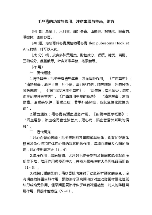 毛冬青的功效与作用、注意事项与禁忌、附方