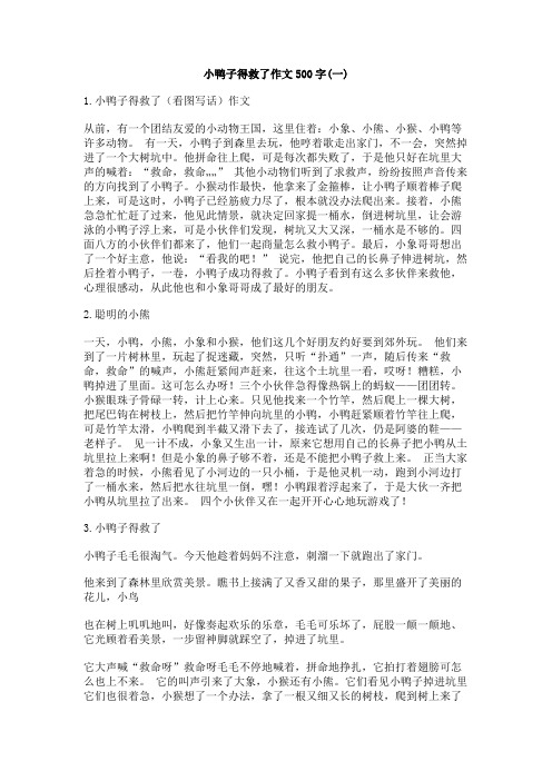 小鸭子得救了作文500字