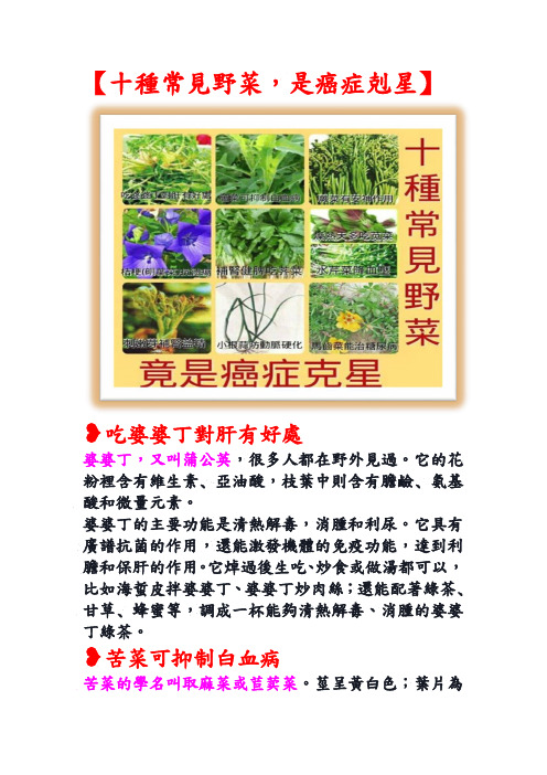 十种常见野菜,是癌症克星