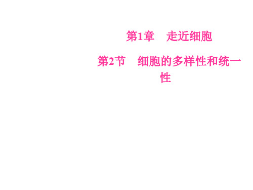 人教版高中生物必修一课件细胞的多样性和统一性