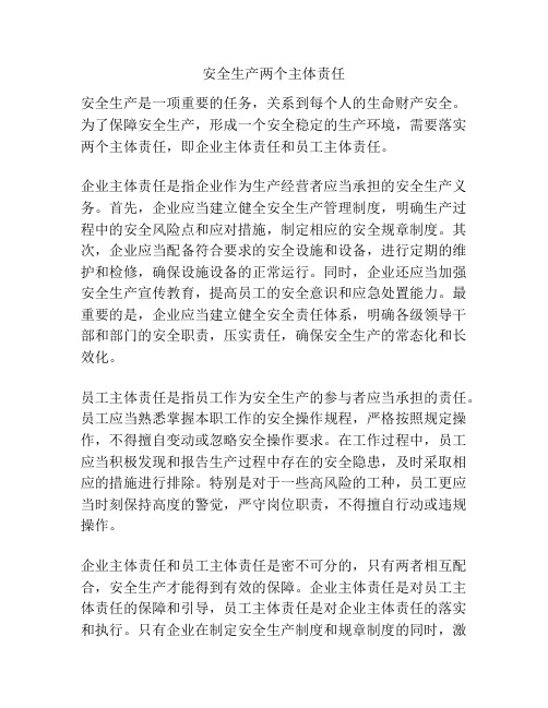 安全生产两个主体责任
