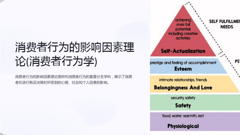 消费者行为的影响因素理论(消费者行为学)