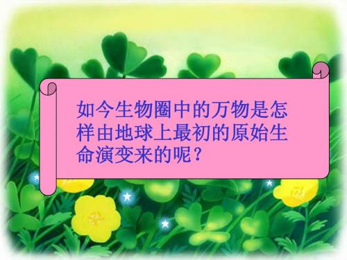 八年级生物人教版课件   第二节+++生物进化的历程