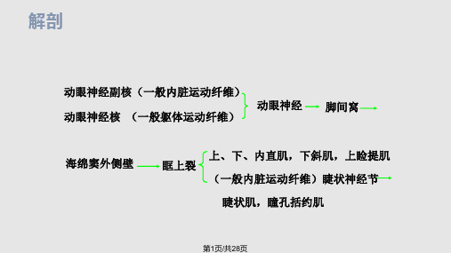 动眼神经麻痹常见病因PPT课件