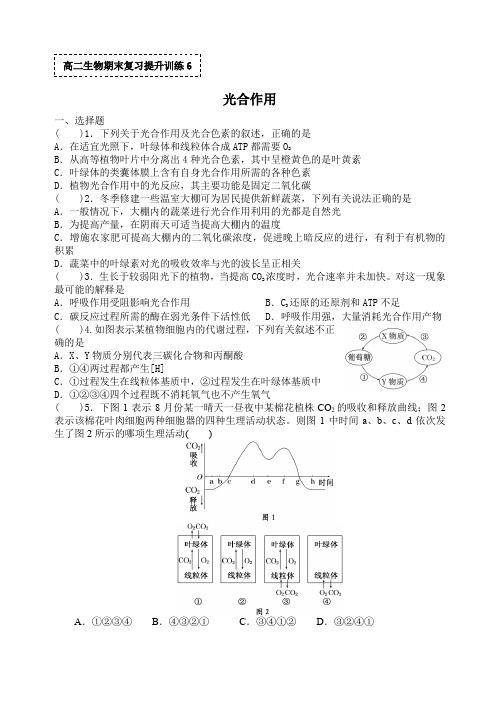 高二生物期末复习提升训练