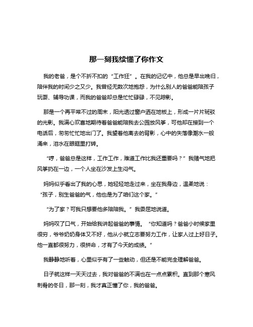 那一刻我续懂了你作文