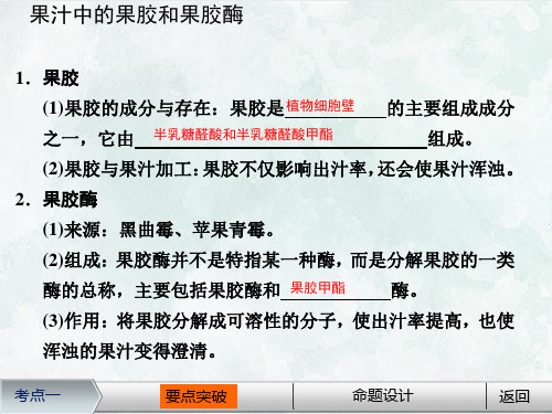 选修一 第二部分 实验6 α-淀粉酶的固定化及淀粉水解作用的检测 课件ppt(19张PPT) 浙科版