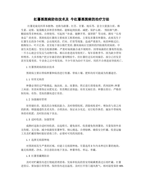 红薯黑斑病防治技术及 牛红薯黑斑病的治疗方法