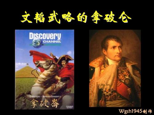 文韬武略的拿破仑ppt