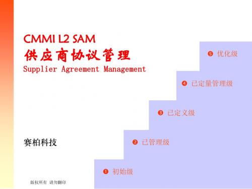 CMMI L2 SAM解析