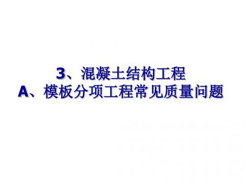 主体结构工程常见质量问题 共113页